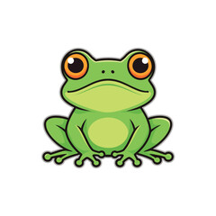 Frog vector illustration on a white background 