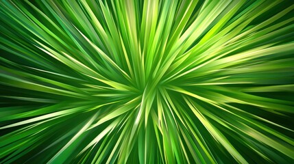 Green plant leaves radiating outward, abstract pattern, nature background