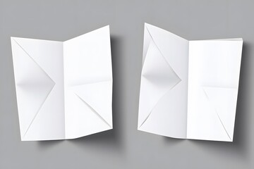 Two unfolded white tri-fold brochures on gray background.