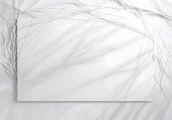 Blank white card with plant shadows on white background.