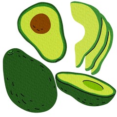 Hand drawing avocados fruit on branch isolated vector on white background