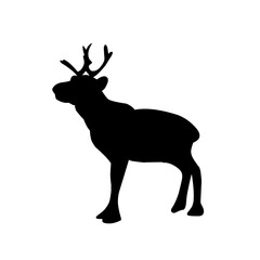 Deer Vector Illustration Set
