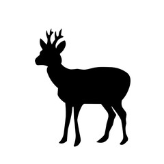 Deer Vector Illustration Set