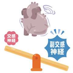 副交感神経が働きすぎて徐脈を起こす心臓のイラスト