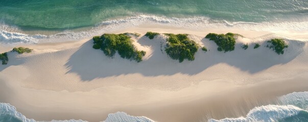 Obraz premium Land and Adaptation concept, Aerial view of a sandy beach with waves and greenery.