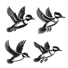 Detailed Vector of  the Bufflehead Silhouette Isolated on White Background