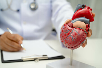 Cardiovascular disease CVD, doctor with heart human model anatomy for treatment patient in hospital.