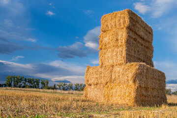 pile of stacked wheat straw bales a blue sky summer day