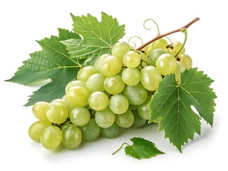 Obraz premium bunch of green grapes