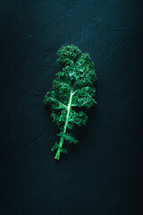 Green kale leaf on dark background, top view with copy space. Healthy detox vegetables . Clean eating and dieting concept. Top view with copy space. Health kale benefits
