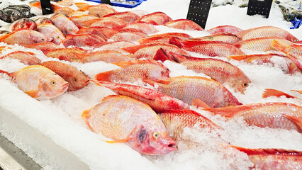 Fresh Red Tilapia on Ice: Vibrant red tilapia glistening on a bed of crushed ice at a market stall, ready for purchase. A close-up showcasing the fresh catch of the day. 