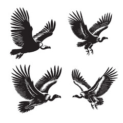 Fototapeta premium Detailed Vector of the Cape Vulture Silhouette Isolated on White Background