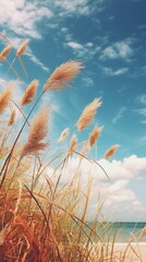 Obraz premium Summer beach landscape outdoors.