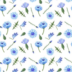 A seamless pattern of hand-drawn blue cornflowers with green leaves and buds on a white background, perfect for textiles, wallpapers, or decorative designs