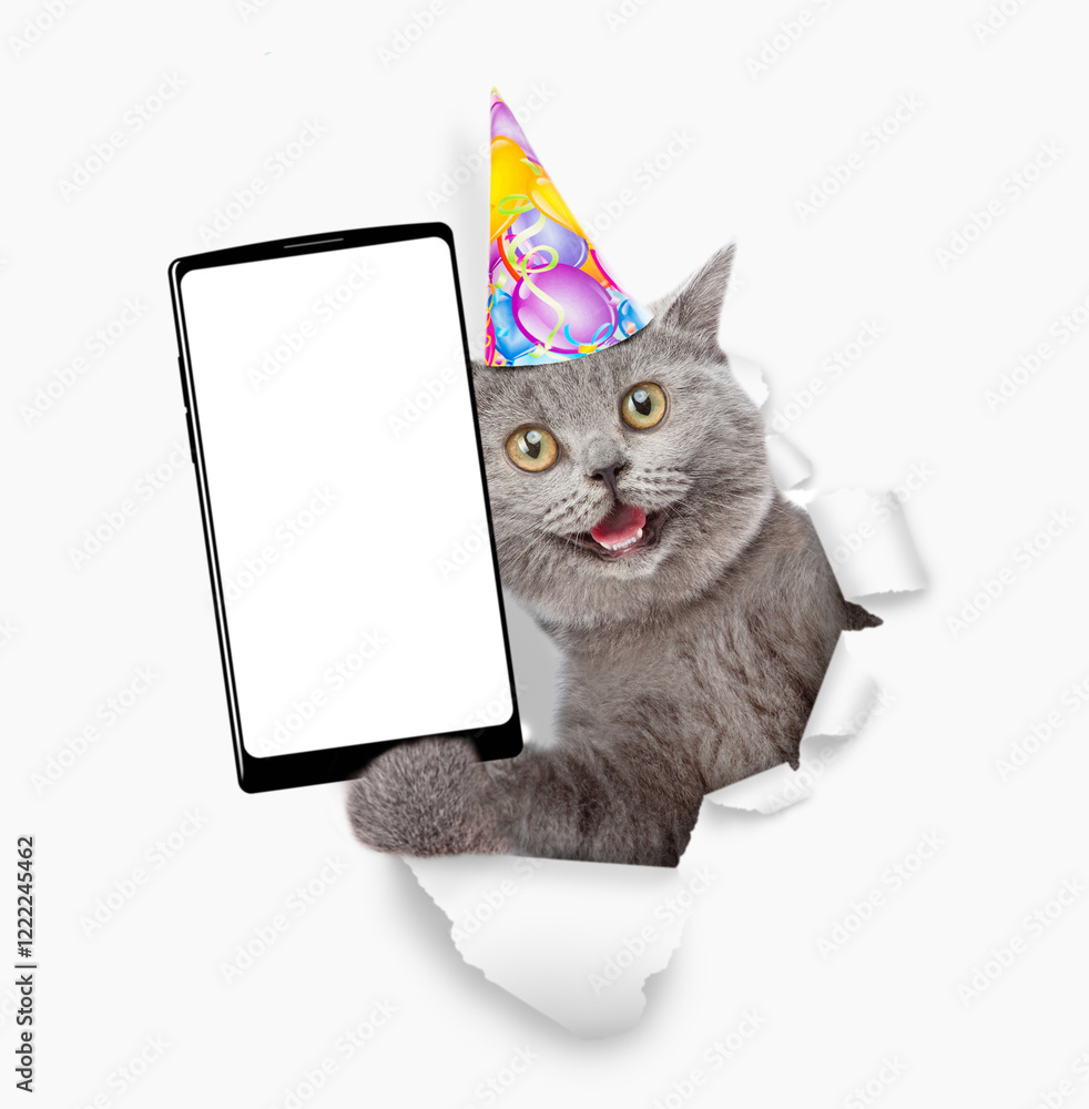 Aufkleber surprised kitten wearing party cap holds smartphone with white blank screen in it paw through torn w