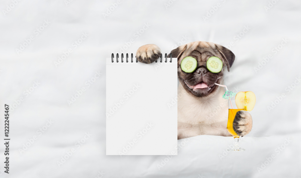 Poster funny pug puppy with pieces of cucumber on his eyes holds orange cocktail and relaxing on the bed at