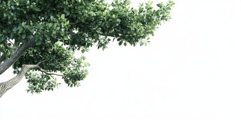 Obraz premium Tree Base. Fresh Green Grass Background with Copy Space for Beautiful Garden Environment 