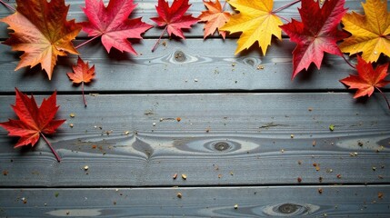 Obraz premium Autumnal Maple Leaves Arranged on Weathered Gray Wood Planks