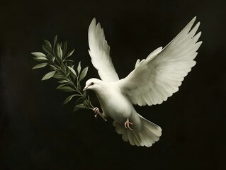 white dove, olive branch, dark background, symbolic of peace, serene