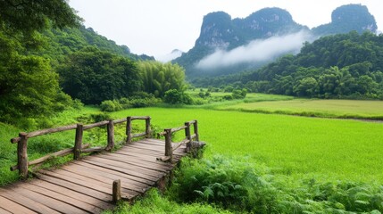 Wooden Footbridge Over Green Rice Field Surrounded by Lush Mountains and Fog in Morning Light