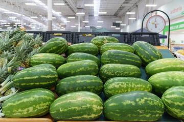 Close-up view of numerous vibrant green watermelons arranged on a display table in a supermarket