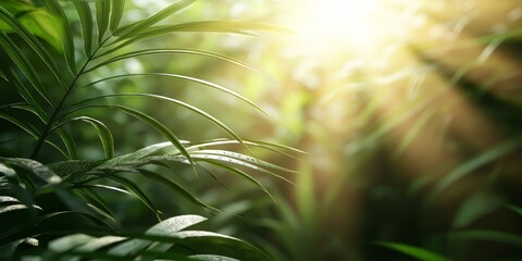 Sunlit Tropical Leaves: Nature, Greenery, Rainforest, Jungle, Sunlight, Dewdrops, Plants, Foliage, Tropical Plants, Green Leaves