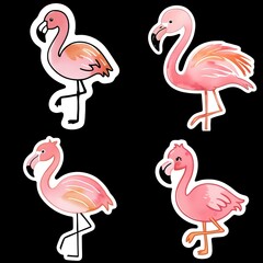 Obraz premium watercolor style flamingo vector sticker, PNG, cute poster, PNG bundle, clipart, isolated background
