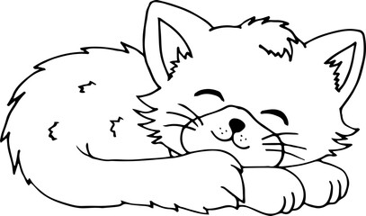 hand drawn illustration of a sleeping little cat