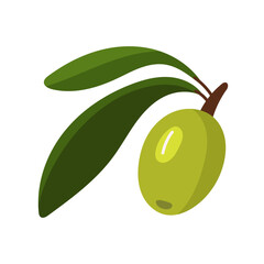 branch with a green olive tree. A fruit with leaves on a branch. Flat color illustration on a white background. A broken branch with olives. Whole food for fresh food preparation