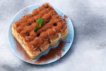 Classic Tiramisu Dessert on Rustic Plate