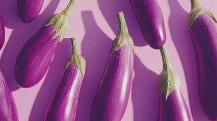 Fresh Purple Eggplants on a Pink Background with Gentle Shadows
