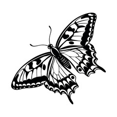 Butterfly Vector Style Illustration Clip Art