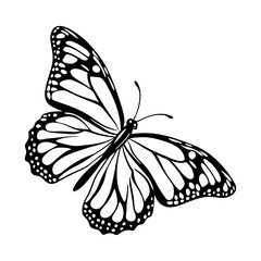 Butterfly Vector Style Illustration Clip Art