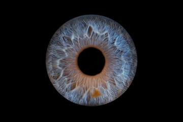 Iris humain artistique- photographie yeux
