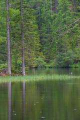 Obraz premium Beautiful landscape with the mountain lake Grner See in Austria and the forest reflected in the water.