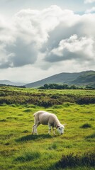 Lamb Grazing Peacefully in Grassy Meadow Under Cloudy Sky, Tranquil Pastoral Scene Representing Rural Life and Serenity, Generative AI