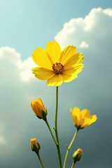 A yellow sky flower blooms on a light gray cloud, serene, hazy