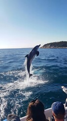 Fototapeta premium Joyful Dolphin Leaping from Cold Blue Sea Among Spectators, Showcasing Aquatic Beauty and Vibrant Marine Life, Generative AI