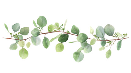 Watercolor bouquet of leaves on transparent background