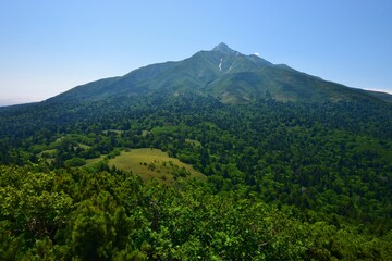 緑生い茂る 利尻島