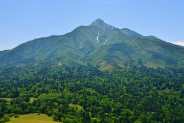 Obraz premium 緑生い茂る 利尻島