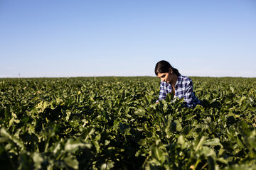 Young woman farmer looking on plants