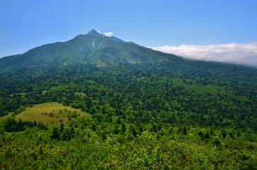 Obraz premium 緑生い茂る 利尻島