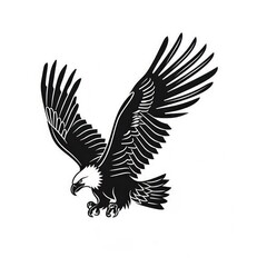 Fototapeta premium Eagle vulture animal flying.