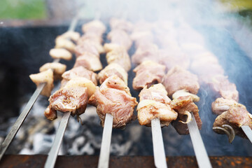 Delicious and juicy barbecue fried on coals in nature during a picnic. High quality photo