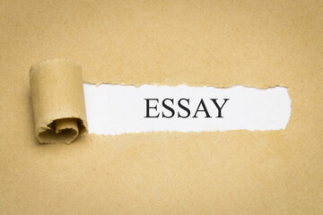 Essay