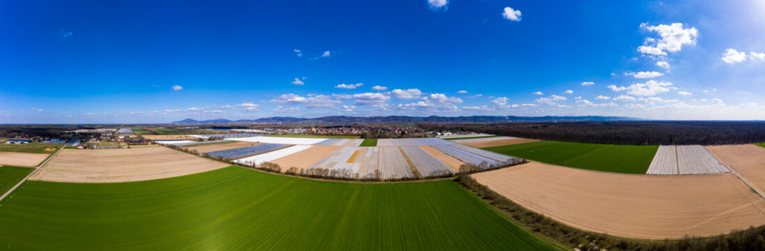 Germany, Hesse, Bergstrasse, Aerial view of asparagus field with white plane
