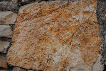 Fossilized rock fragment revealing ancient impressions in Albania during a geological exploration...