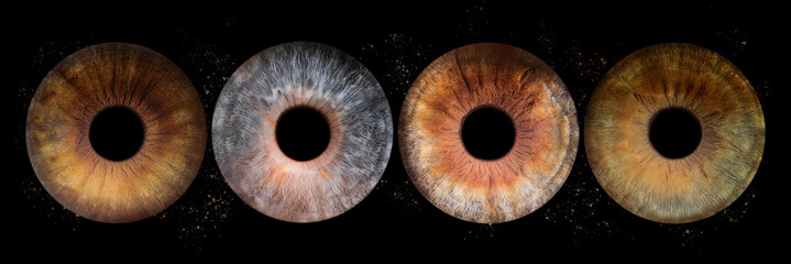 iris beauté yeux photo des yeux photos d'iris	
