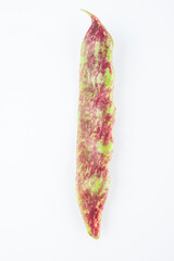 Fresh vegetable Northeastern oil beans on white background